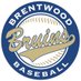 Brentwood Baseball (@wcsbhsbaseball) Twitter profile photo