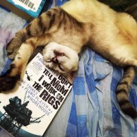 RJ the Tech Writer | Cat lover(@silvercoyote) 's Twitter Profileg