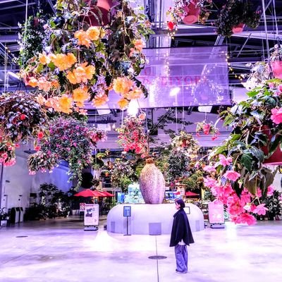 1100155's profile picture. 好きなもの(　主に花   景色   神社仏閣   ぬりえ)シェフの気まぐれサラダ的にポストしてます