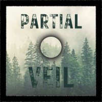 Partial Veil (@partialveilad) 's Twitter Profile