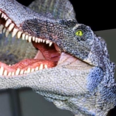 JHamood34's profile picture. Rap, NBA nonsense and memes. I also make stuff 👇🏼