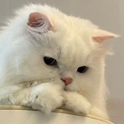 bwbwbww_'s profile picture.