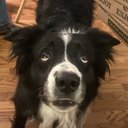 Garrett Newman - @bigpimpin8887 - Twitter