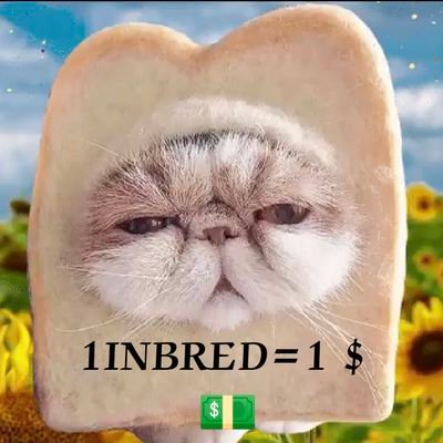 恒～＄INBRED