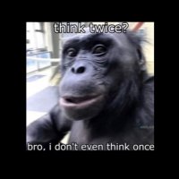 Chimp Sugriva (@lyricalchimp) Twitter profile photo