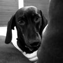 Susie Gordon-Ellis - @susiegiggly - Twitter