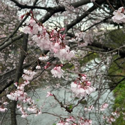 naaa1123_'s profile picture. 