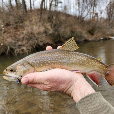 SteveCoon96's profile picture. An avid hunter and angler