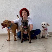 Valentina Gatti (@launicagatti) 's Twitter Profile