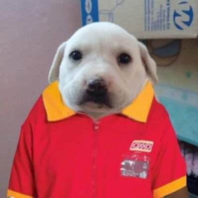 Luis_Pl20's profile picture. Si, 19