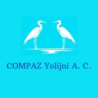 Comunidad de Investigación e Incidencia para laPaz (@compazyolijni) 's Twitter Profile