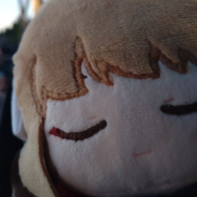 路頭に迷う🦀💥*⁠･⁠゜ﾟさんのプロフィール画像