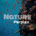 Nature Perplex (@natureprplx) Twitter profile photo Nature Perplex (@natureprplx) Twitter profile photo