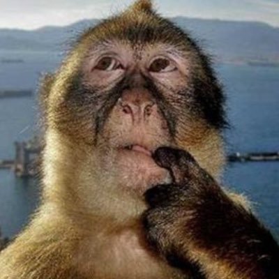 cloudy1096's profile picture. 