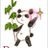 deepmoon_pd's profile image