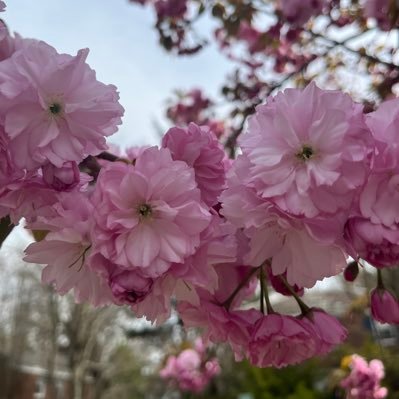 AngelaNinaTR's profile picture. wife,mom,explorer,entrepreneur, teacher and this is my page😉