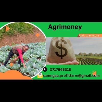 *Agrimoney*: Your hub for agricultural finance insights, tips, and news. Join us as we explore the intersection of farming and money management, helping farmers