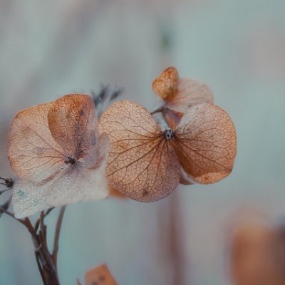 jinsuk258246630's profile picture. happy day~~s