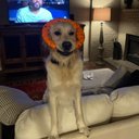 Jack Hagood - @Jhagood09 - Twitter