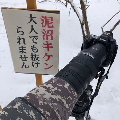it_mr2937's profile picture. wonder love
