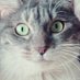 meow (@meowltachi) Twitter profile photo meow (@meowltachi) Twitter profile photo