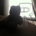 Riley-Lynn Fields - @RiRitzy - Twitter