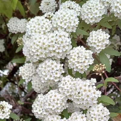 特撮大好きfgoをはじめ型月大好きTwitterは初心者です。別垢なんて器用な事は出来ないのでなんでもここで呟きます。常日頃型月とニチアサと日常でかなり喧しい。めちゃくちゃ誤字やらかすので心の目で読んで頂けると嬉しい。いつもいつでも気分ブンブン。