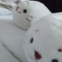 lemon🌸*。 (@pika_lemon) 's Twitter Profile