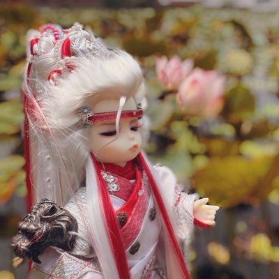 窩木知道🌊さんのプロフィール画像