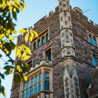 TRC (@thomrothcol) 's Twitter Profile