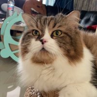 Hasanah💜 (@hasana1212) 's Twitter Profile