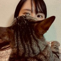 youko(@youkoxo) 's Twitter Profile Photo