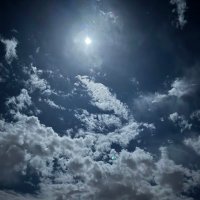هَايل (@__shll10) 's Twitter Profile