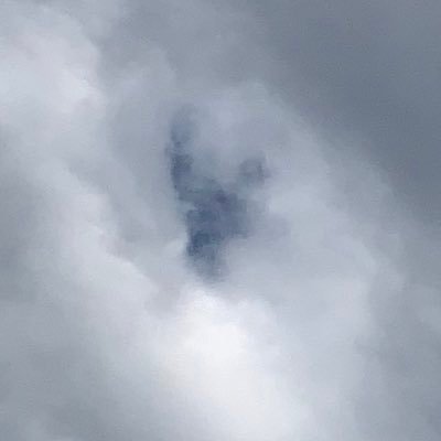 nnnnnn6n201's profile picture. 