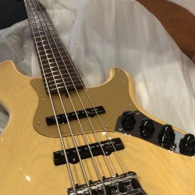 hitman_gnu's profile picture. 友達の紹介でキングヌーに、いや、新井和輝にハマりすぎています。バンド活動してます、 新井先生のシグネイチャーモデルのベースを振り回してます。