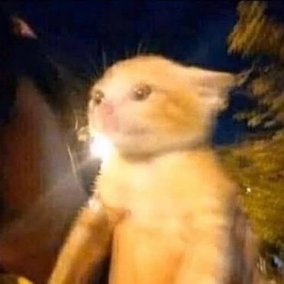 CeeRoshie's profile picture. 🇵🇭⚕️🇸🇬