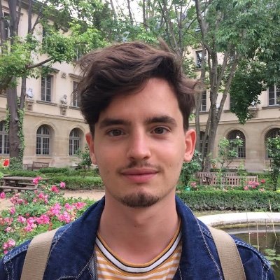 PhD student in Computational Neuroscience @ClopathLab @ImperialCollege