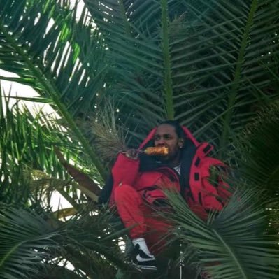 Tweetadiah's profile picture. Impossible