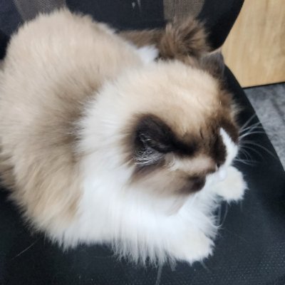 j1424292's profile picture. 