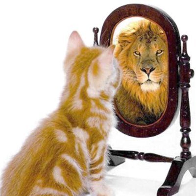 Gato_Leaks's profile picture. Mastodon: https://t.co/C6kGmaNCy1
Facebook: https://t.co/aGg6yCn6K4
Youtube: https://t.co/BgUssqkspy
Telegram: https://t.co/lbHQRulwxL