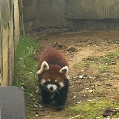 YcuMbj's profile picture. それ用のアカウント 18↑