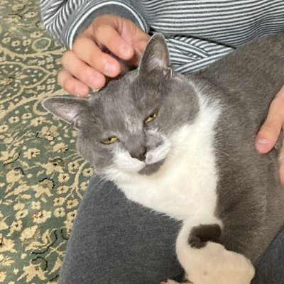 sappy_mugipoko's profile picture. ヴォーパルってルイス・キャロルの造語なんだって。