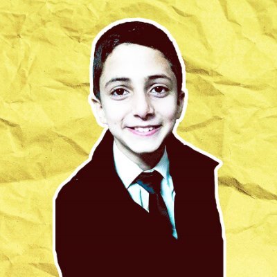alibarakats's profile picture. 🇪🇬🇳🇴🇺🇸