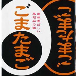 翻訳家になれるかな