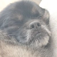 Guada (@guadalupeeg14) 's Twitter Profile Photo