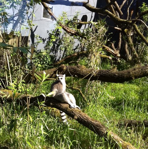 mail2remco's profile picture. 