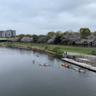 obana_k0105's profile picture. utokyo s1-8🇮🇹 | ア式テクニカル