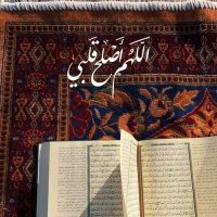Amira Swefy (@amira491811) 's Twitter Profile