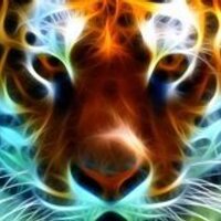 DaveBoDiddly (@davebodiddly) 's Twitter Profile
