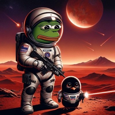 BenizriShl74780's profile picture. 